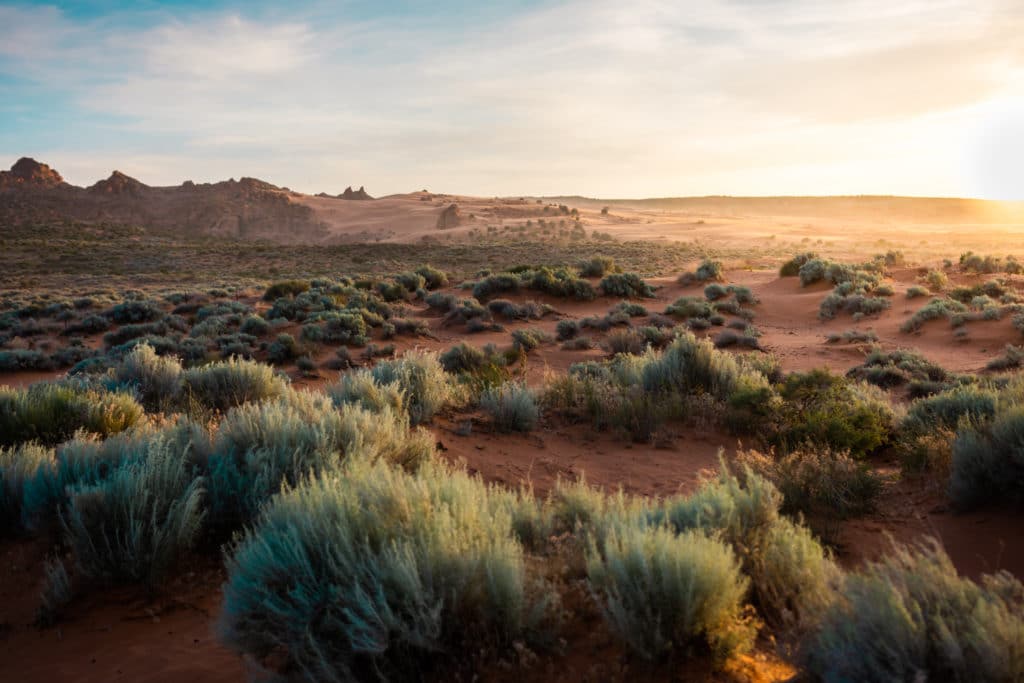 views one might encounter when riding off-roading trails in st. george utah in the Sand Hollow area