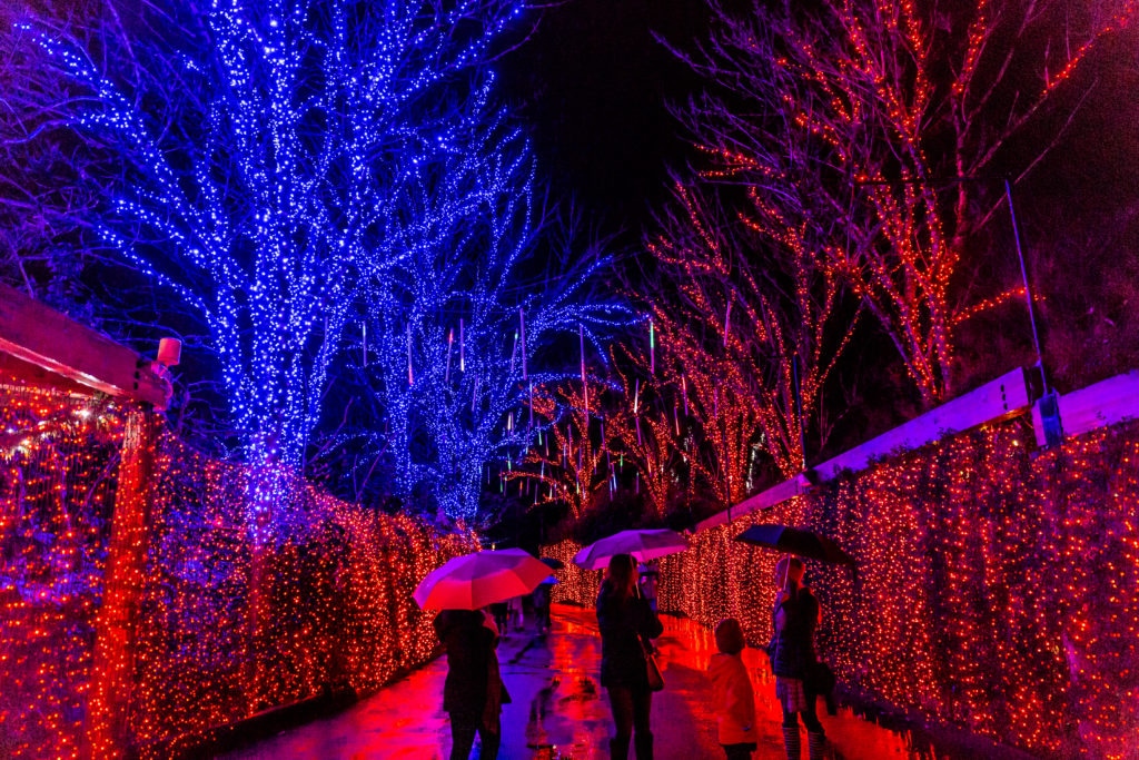 stroll amongst the lights on your date night in utah