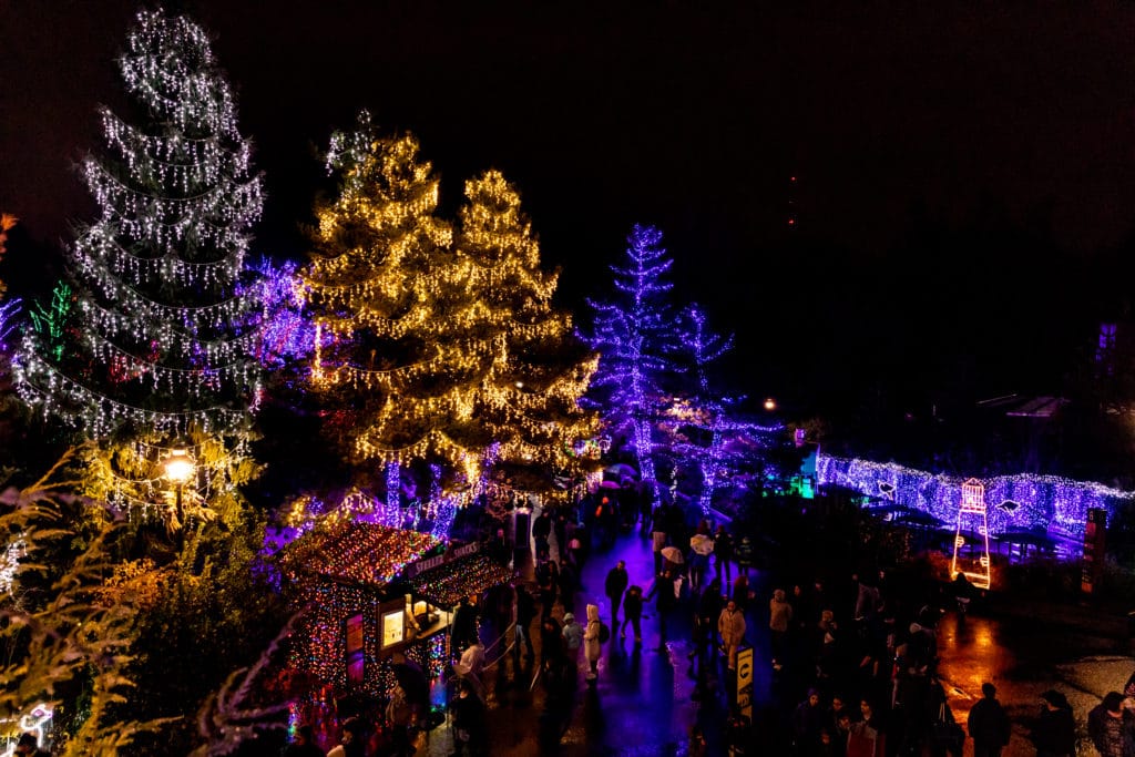 tree lights representing what could be found at zoo lights